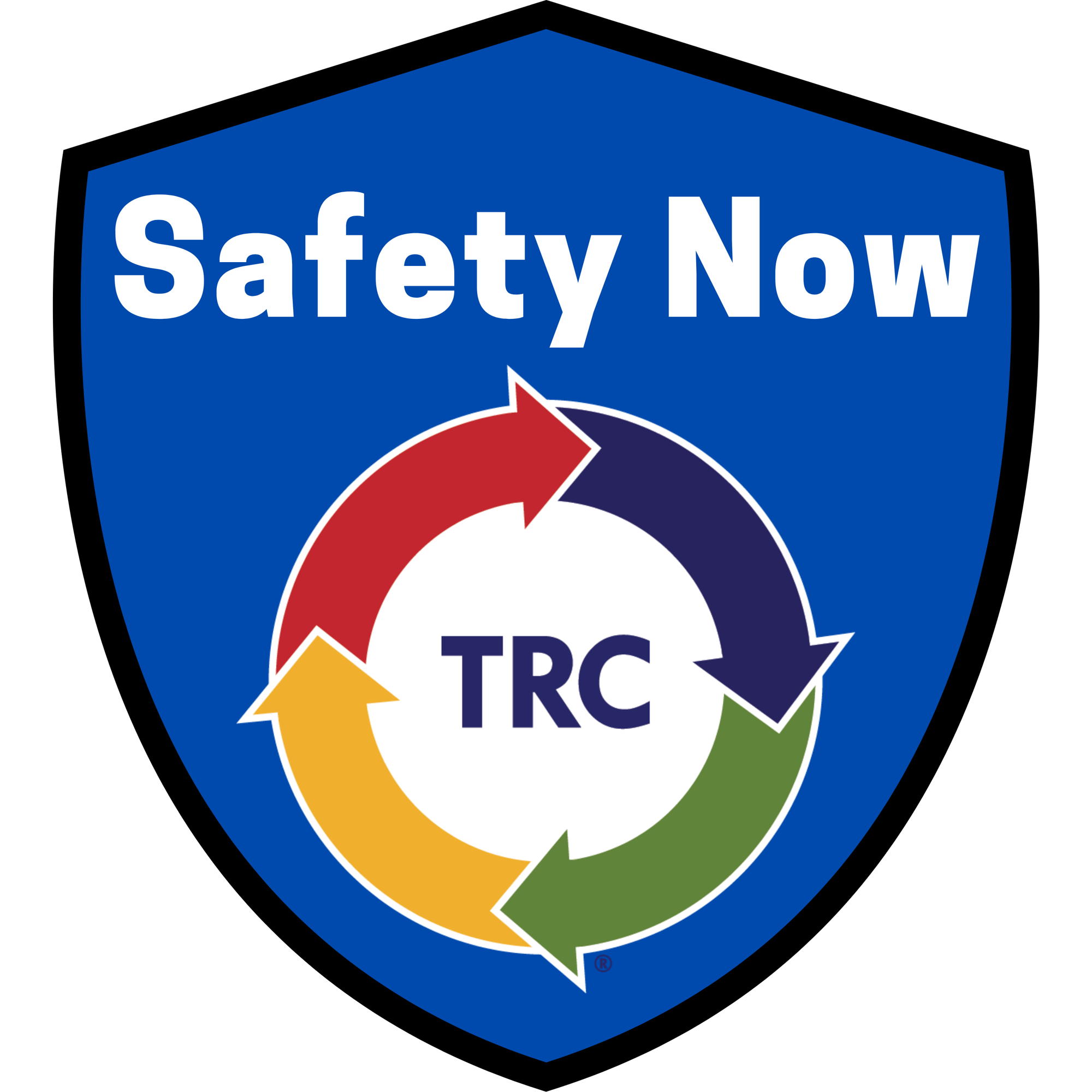 Safety Team Logo_with blue fill