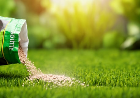 Granular Lawn AdobeStock_1150521511