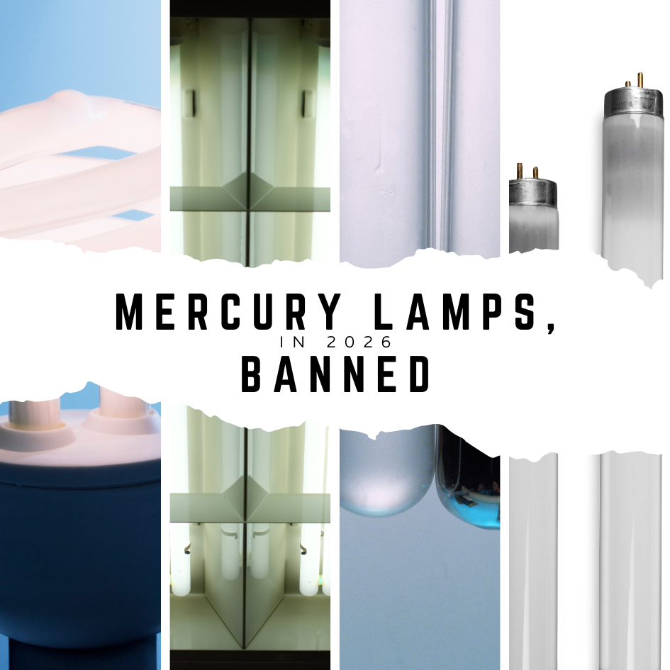 Minnesota's Clean Lighting Bill