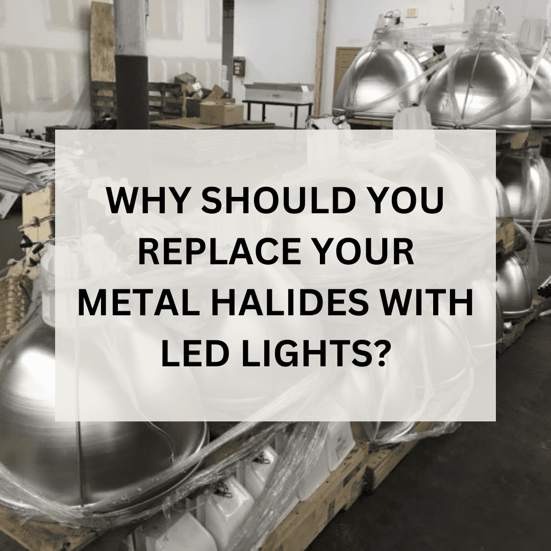 WHY SHOULD YOU REPLACE YOUR METAL HALIDES WITH LED LIGHTS?